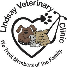 Lindsay Veterinary Clinic